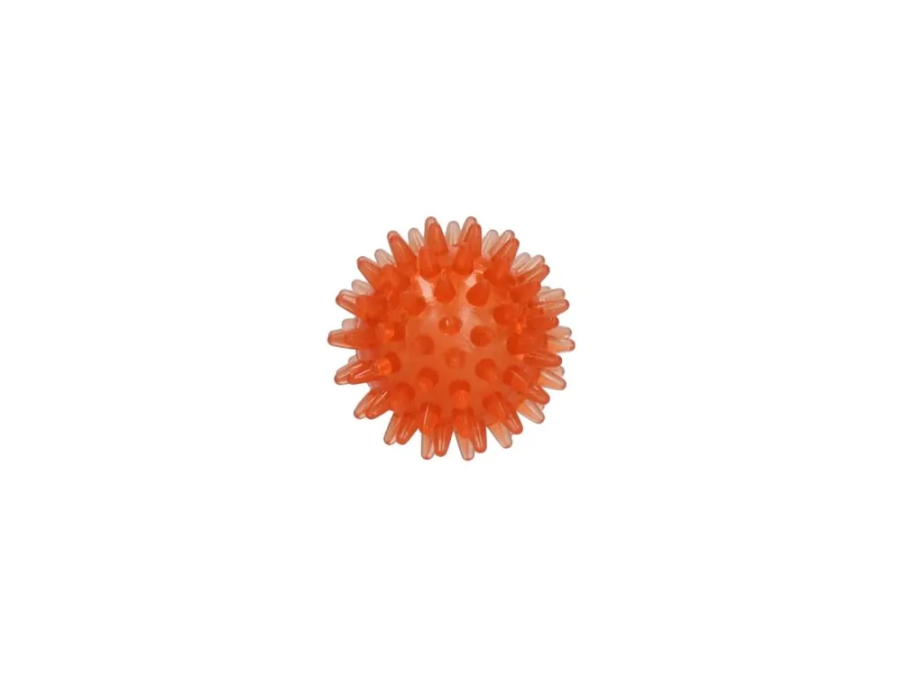 Levný Dog Comets Exoplanet ježatý míč oranžový S/5cm