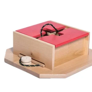 Rychlé Dodání Dřevěný hlavolam Swiss cube