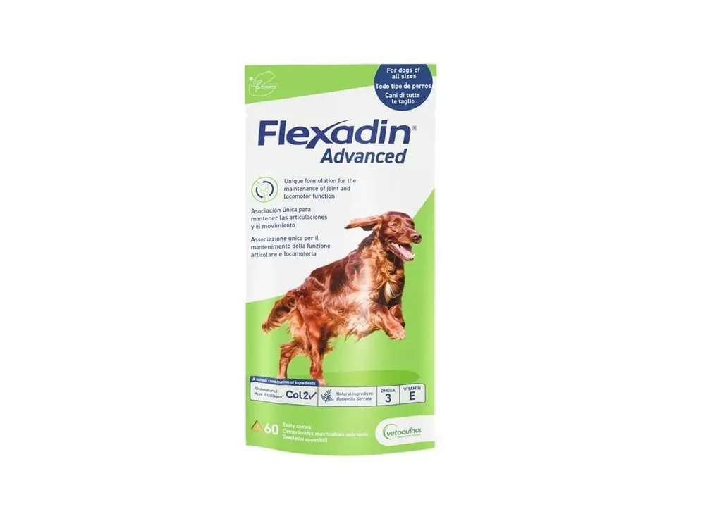 Flexadin Advanced žvýkací tablety 60 tbl Levný