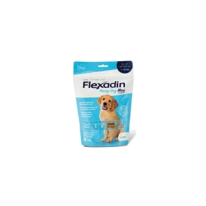 Flexadin Young Dog Maxi žvýkací 60tbl Pouze Dnes
