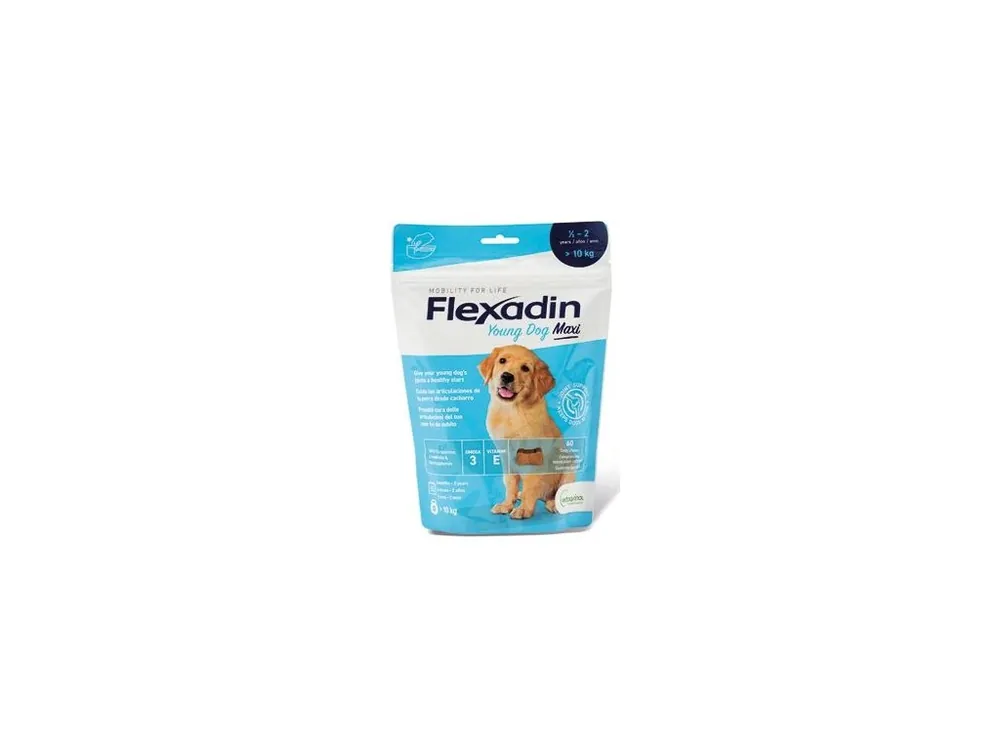 Flexadin Young Dog Maxi žvýkací 60tbl Pouze Dnes