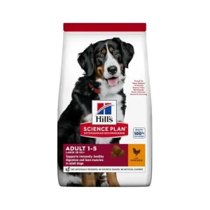 Výhodná Nabídka Hill‘s Science Plan Canine Adult Large Breed Chicken 14 kg