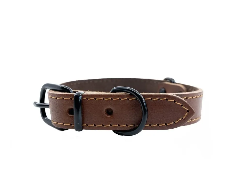 Kožený obojek pro psy BAFPET HERRY MINI, černé kování, koňak, 40 cm x 22 mm Jen Po Omezenou Doba