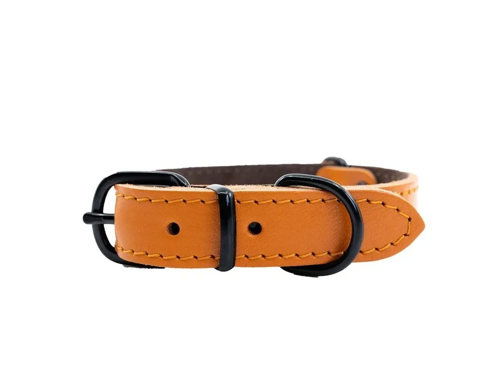 Kožený obojek pro psy BAFPET HERRY MINI, černé kování, oranžová, 40 cm x 22 mm Expresní Doručení