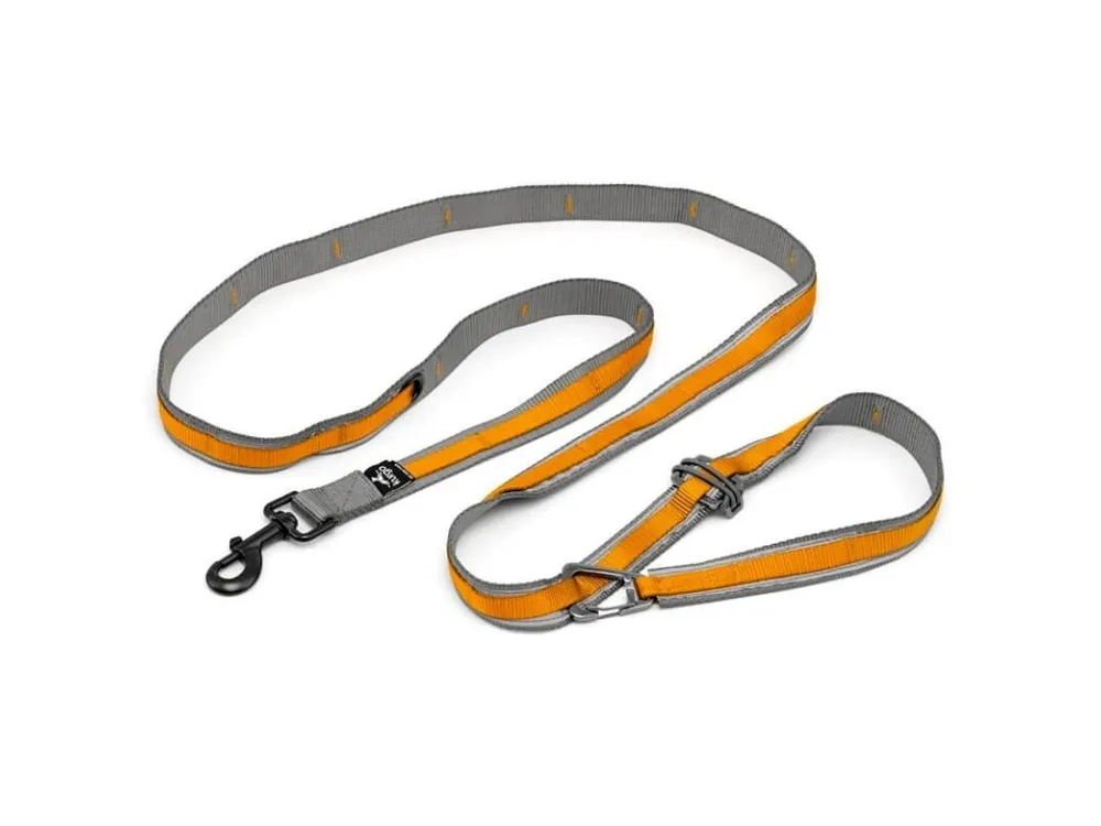 Top Prodej Kurgo® Quantum 2.0 Vodítko pro psy oranžové