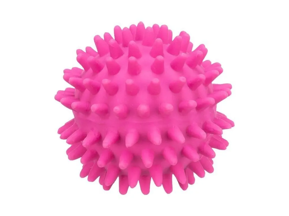 Nová Kolekce Latexový ježatý míček se zvukem 6 cm TRIXIE