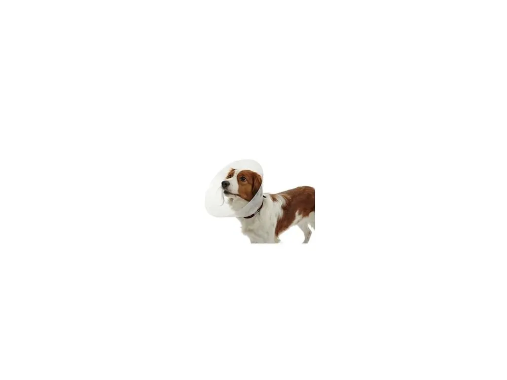 Nízká Cena Límec ochranný BUSTER plastový Classic Collar 30cm
