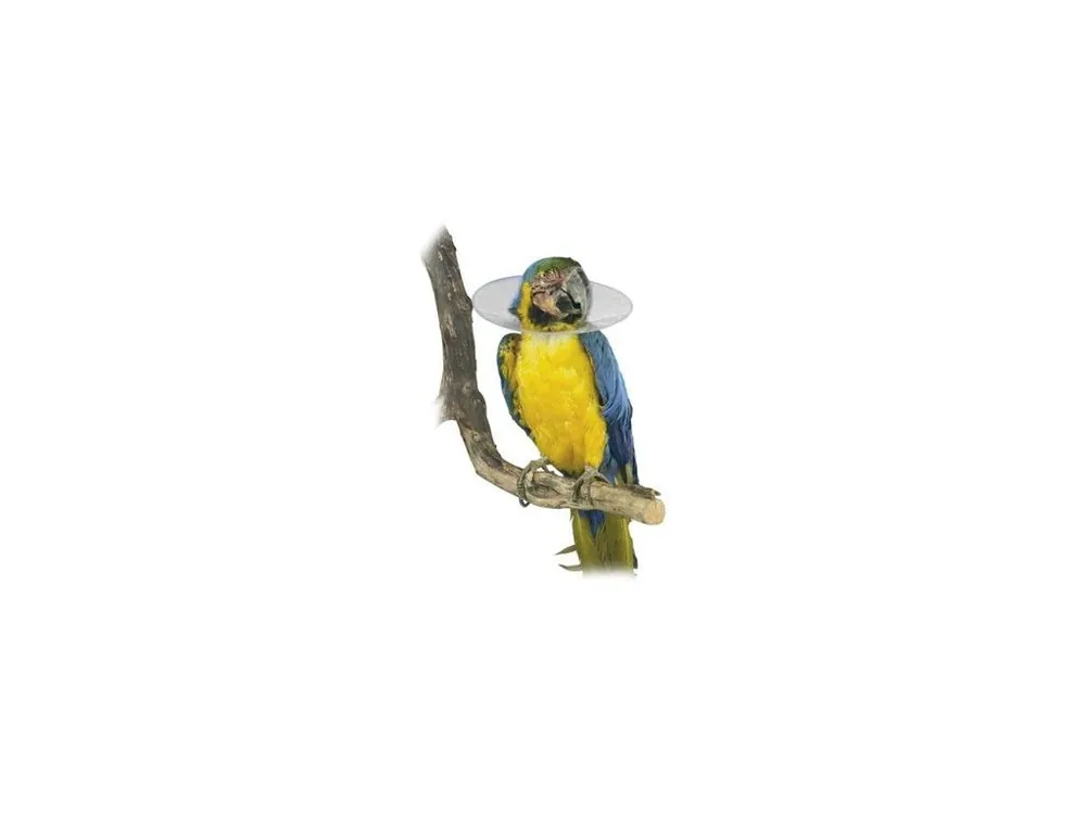 Límec ochranný plastový Bird Collar pro ptáky 10cm Hit Sezóny