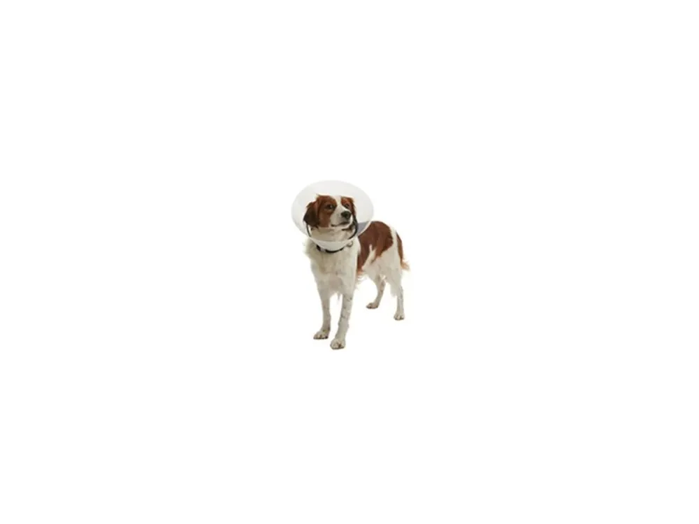 Nakupujte Hned Límec ochranný BUSTER plastový Clic Collar 35cm