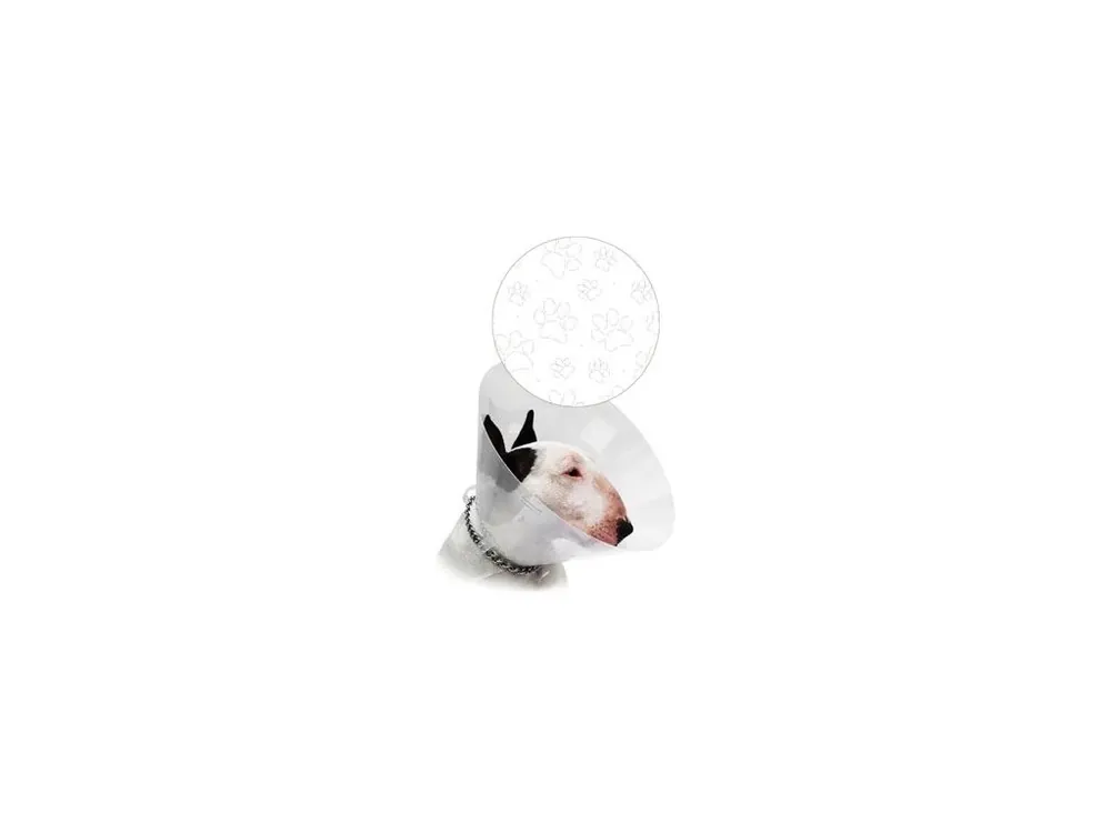 Límec ochranný CVET transparent tlapky 20cm 1ks Must-Have
