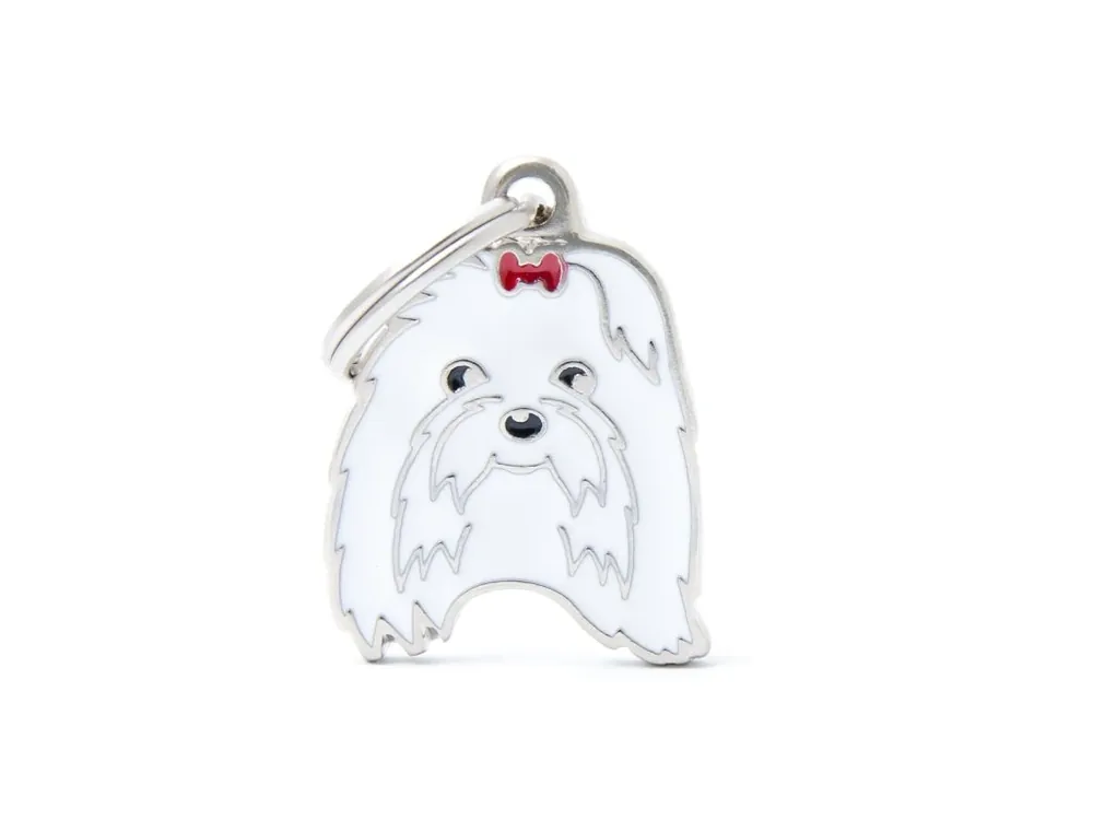 Levný MALTESE
