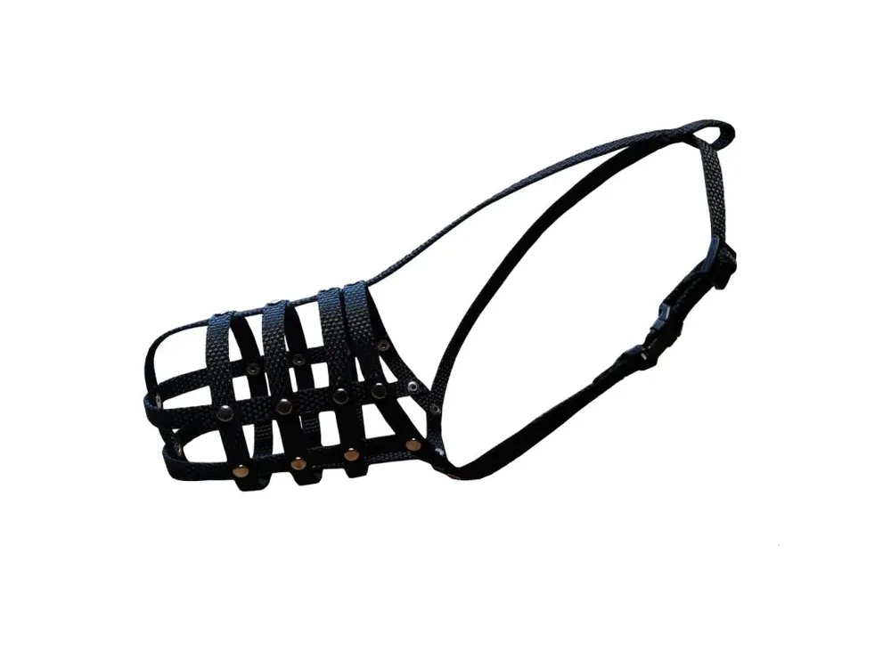 Náhubek popruh nylon chrt - fena Autentický