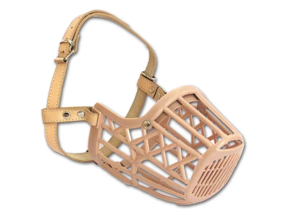Nakupujte Hned Náhubek Safeguard č.6 - Labrador