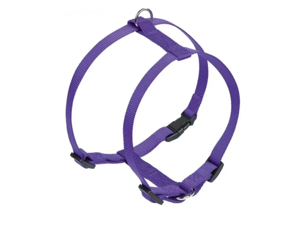 Nobby CLASSIC postroj nylon L-XL 70-90cm / 25mm modrá Expresní Doručení