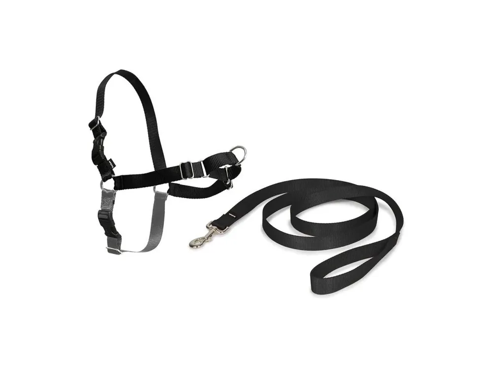 PetSafe® Postroj EasyWalk černý M Vrácení Zdarma