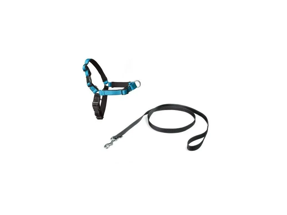 Cenový Hit PetSafe® Postroj EasyWalk Deluxe modrý velikost L