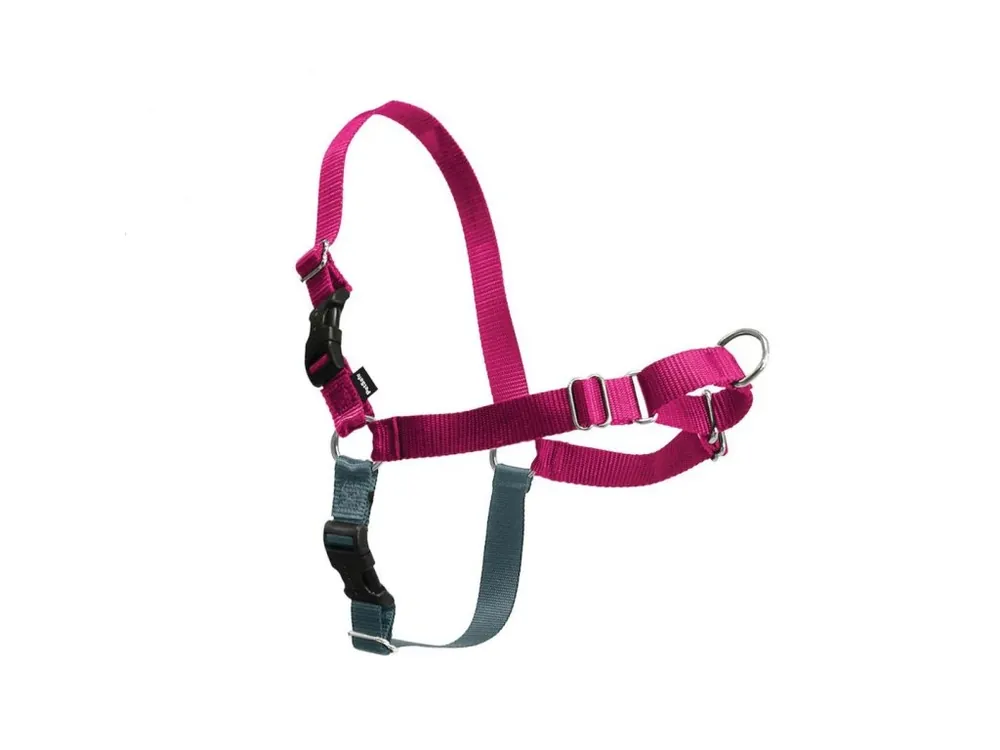 Nová Kolekce PetSafe® Postroj EasyWalk malinový L