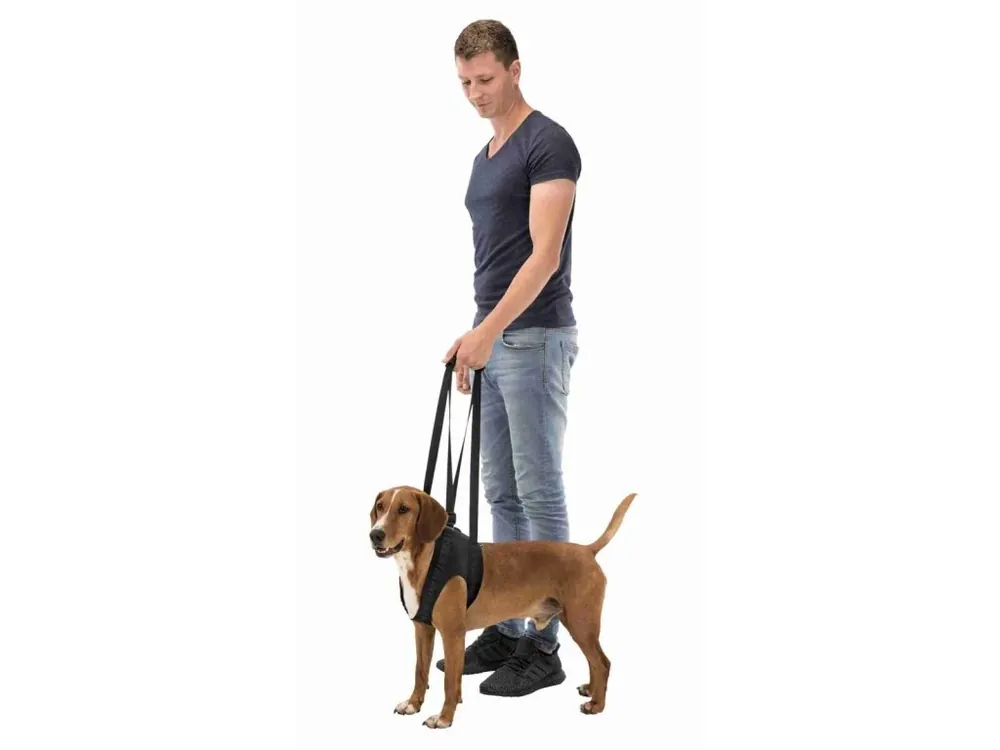 Podpůrná pomůcka k chůzi L-XL 75-85 cm černá Tovární Cena