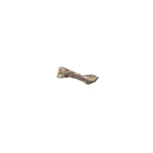 Pochoutka pes kost od šunky 24cm Nakupujte Hned