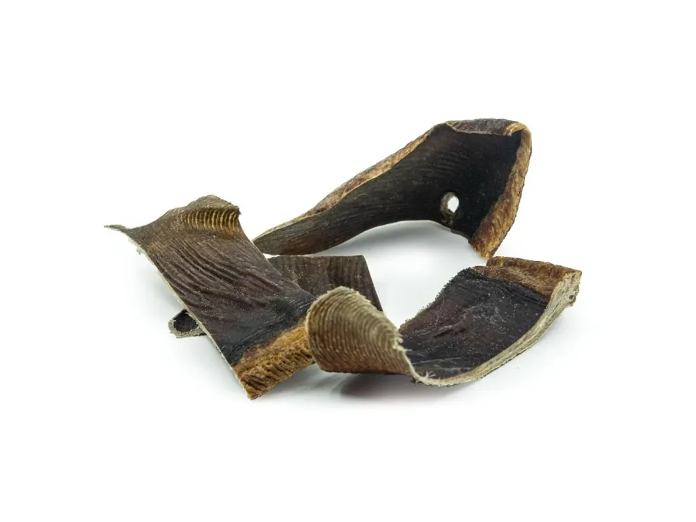 Cenová Bomba RAW RAW Sea Snacks Rejnok ploutve 100g