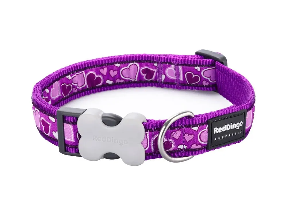 Horká Nabídka Red Dingo obojek – Breezy Love Purple – 20 mm x 30-47 cm