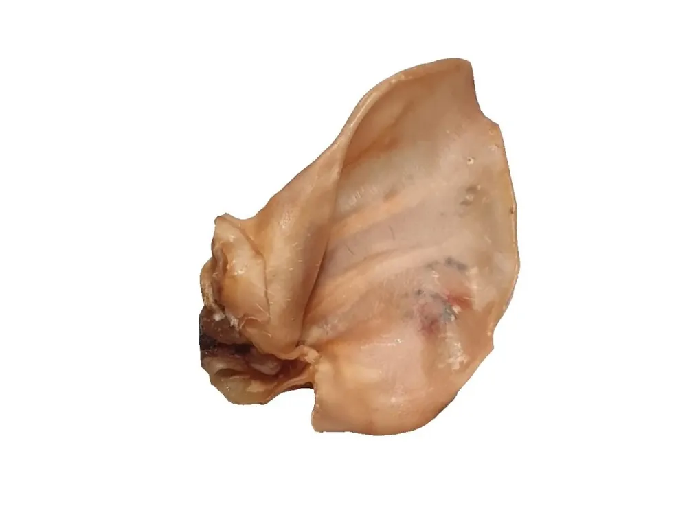 Ucho vepřové CZ PRODEJ PO BALENÍ (50 ks) Levný