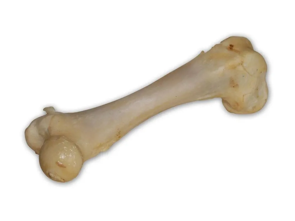 Vepřová kost bílá - extrudovaná 1 ks/17 cm Cenově Výhodný