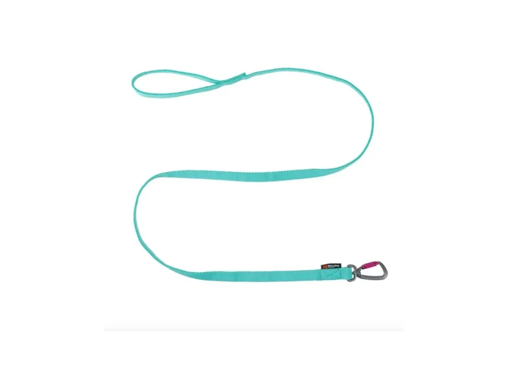 Super Cena Vodítko pro psy Non-Stop dogwear BUNGEE LEASH s amortizérem, aqua, 2 m