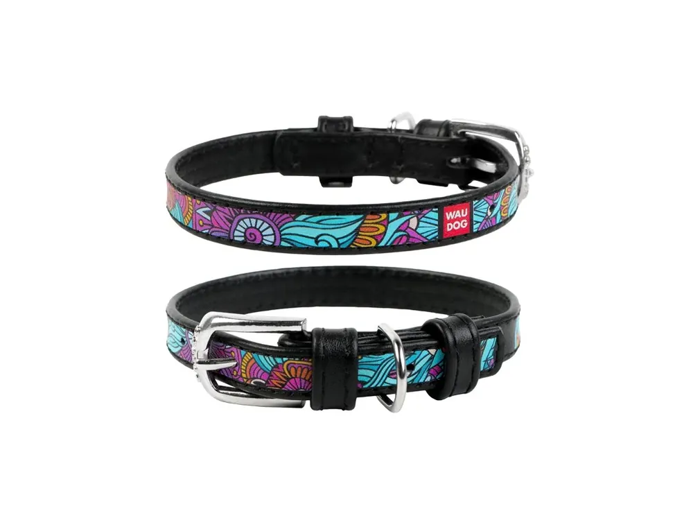 WAUDOG obojek kožený Summer černý (38-49cm/2,5cm) Cenově Výhodný
