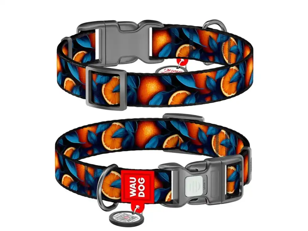 Cenový Hit WAUDOG obojek nylon Pomeranče QR (M/28-40cm/2cm)