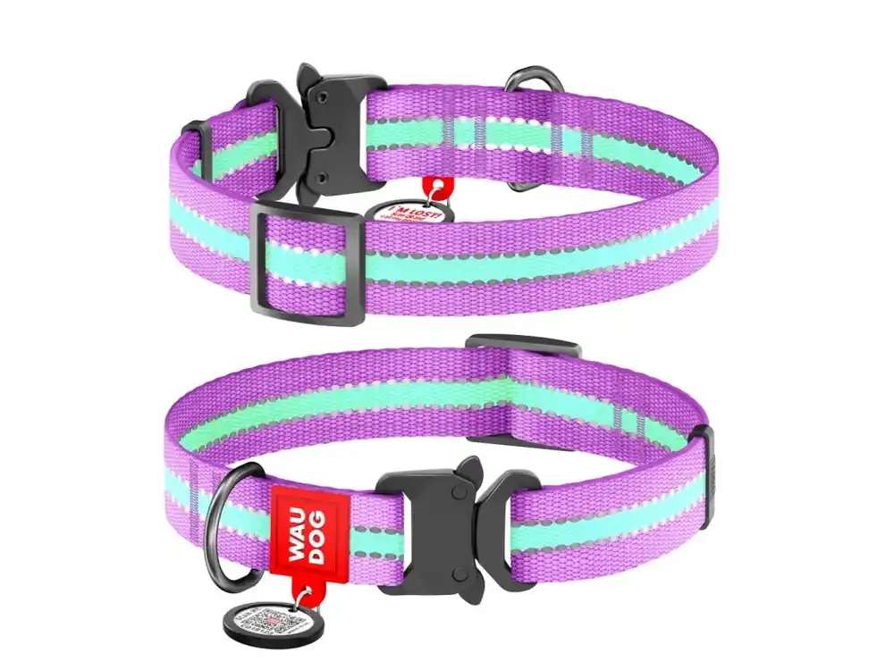 Horká Nabídka WAUDOG obojek nylonový Glow fialový Fastex QR (25-35cm/1,5cm)