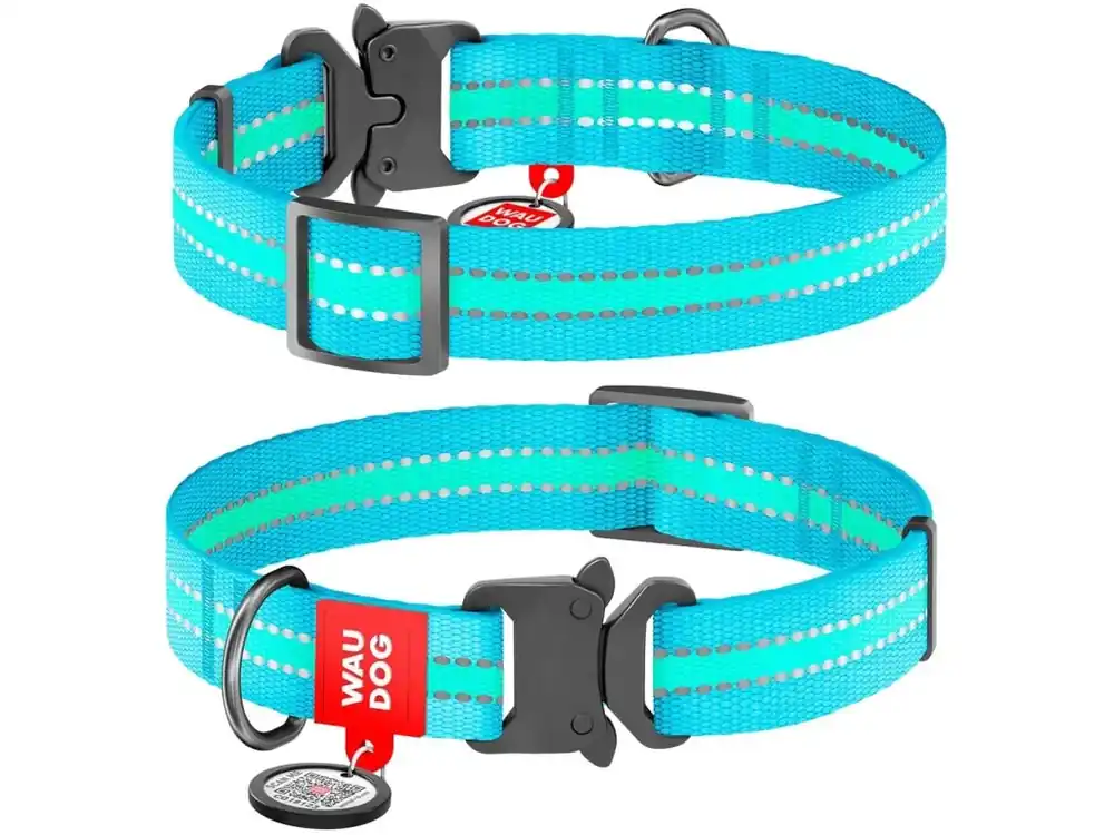 Vysoce Kvalitní WAUDOG obojek nylonový Glow modrý Fastex QR (33-49cm/2,5cm)