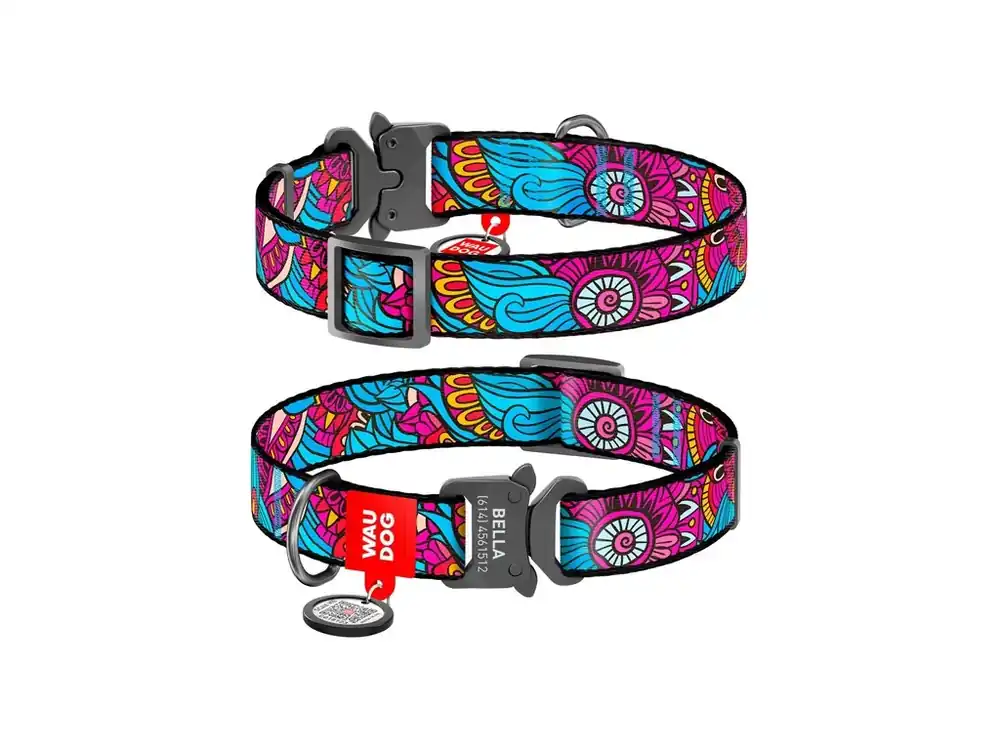 WAUDOG obojek nylonový Summer Fastex QR (37-58cm/2,5cm) Horká Nabídka