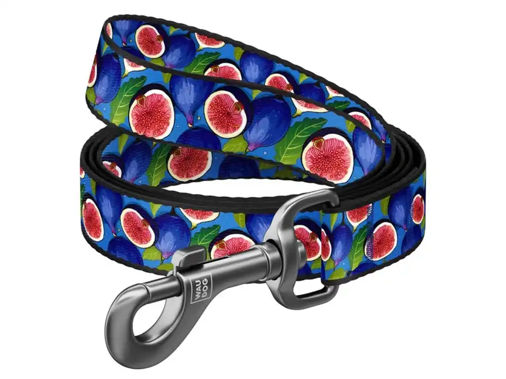 Pouze Dnes WAUDOG vodítko nylon Fíky (S/122cm/1,5cm)