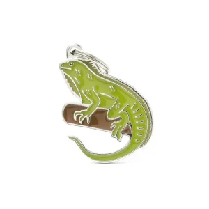 WILD IGUANA Nejlepší Volba