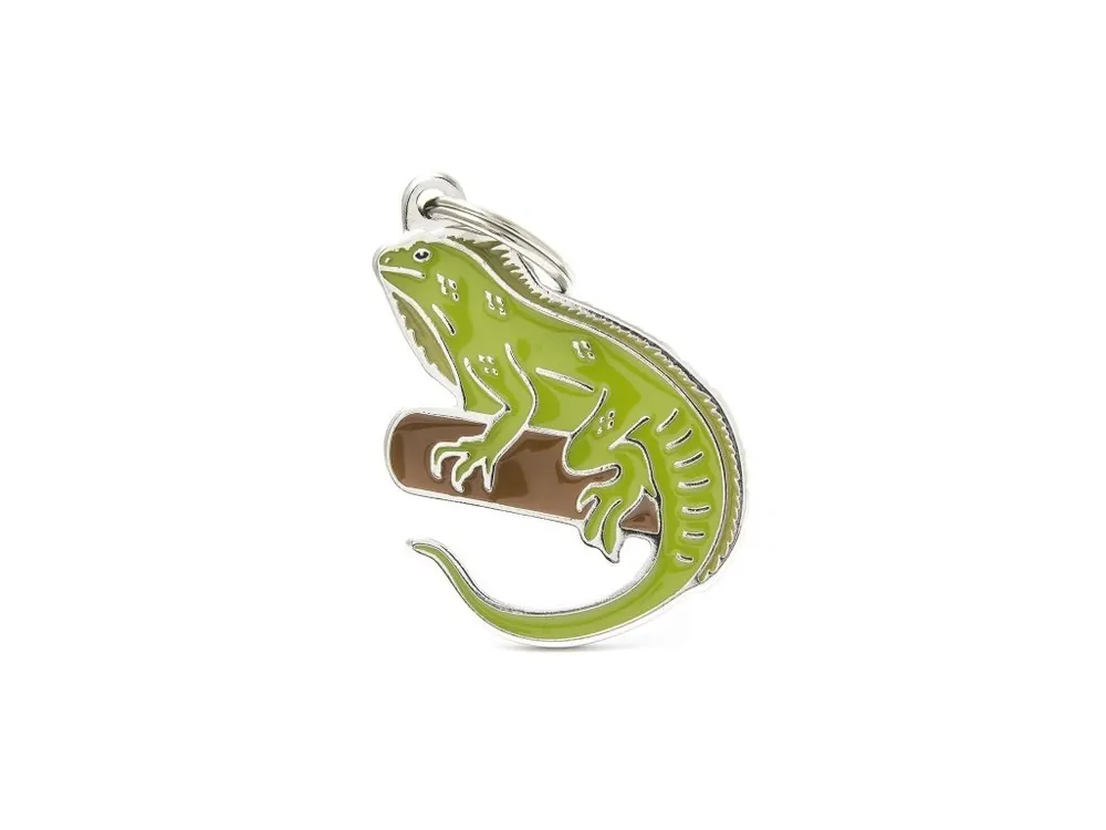 WILD IGUANA Nejlepší Volba