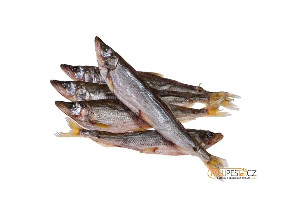 Aktuální Koruška 500g