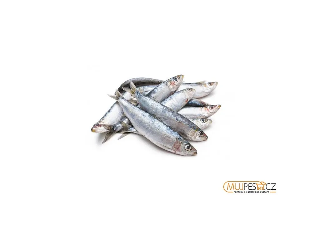 Sardinky 500g Novinka