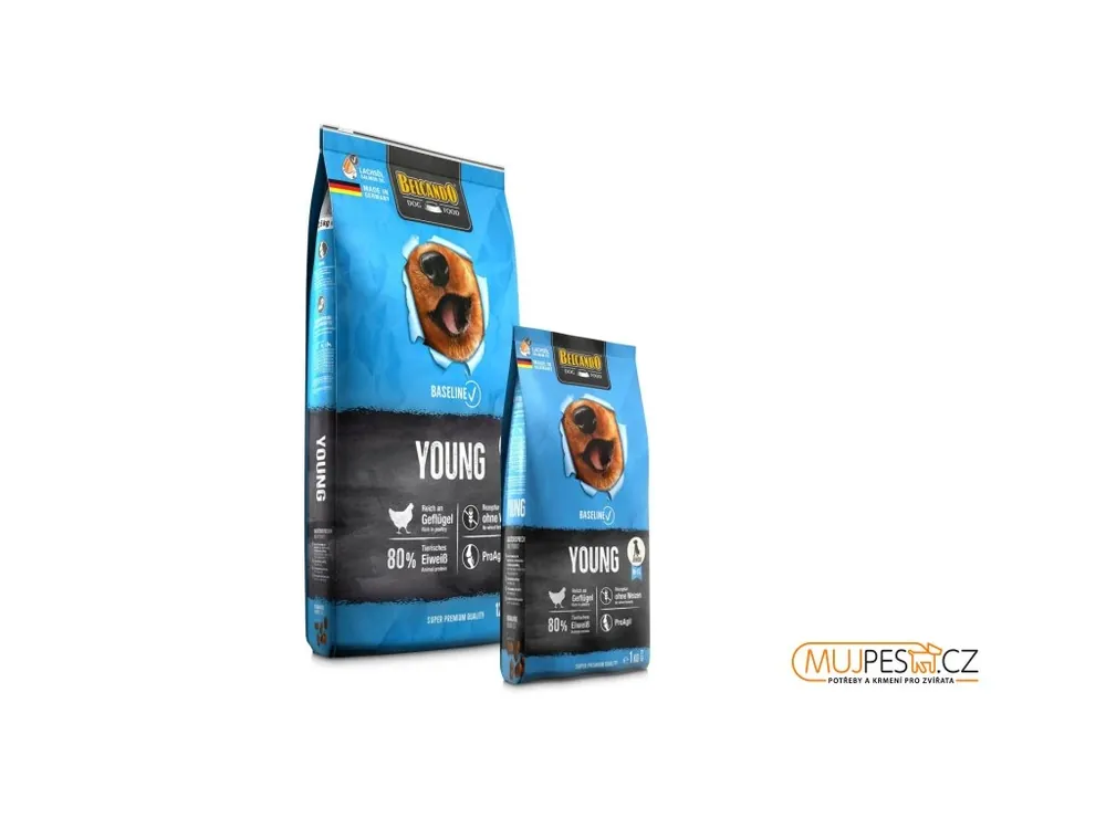 Must-Have Belcando Baseline YOUNG + dárek