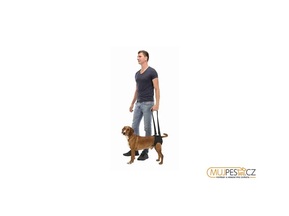Autentický Podpůrná pomůcka k chůzi M 55-65 cm černá
