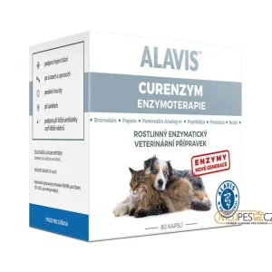 ALAVIS CURENZYM Enzymoterapie 20 kapslí Koupit Online