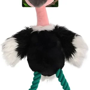 Ověřený AFP Safari Jungle Pštros