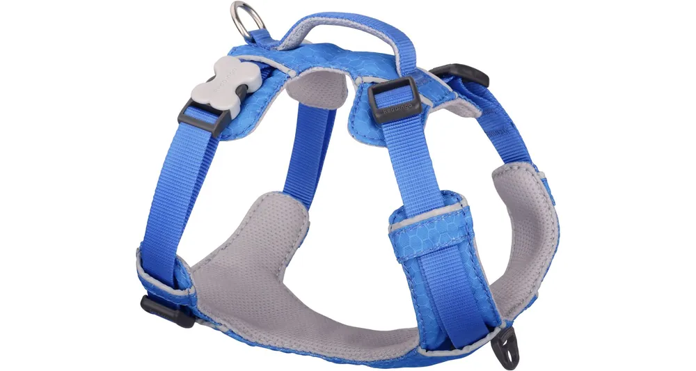 Bezpečná Platba Red Dingo postroj Sport – Electric Blue – 20 mm x 47-64 cm