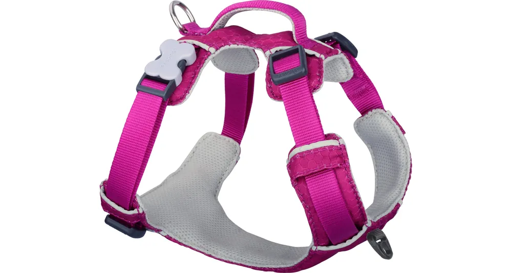Red Dingo postroj Sport – Fuchsia – 25 mm x 75-112 cm Tovární Cena