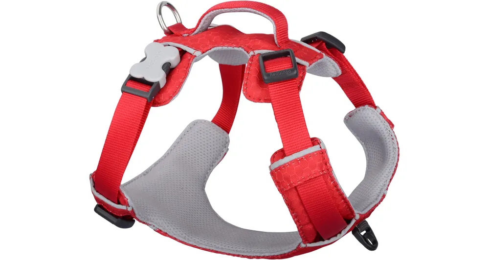 Ihned K Objednání Red Dingo postroj Sport – Red – 25 mm x 58-81 cm