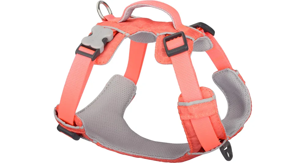Red Dingo postroj Sport – Hi-Vis Peach – 25 mm x 75-112 cm Levný