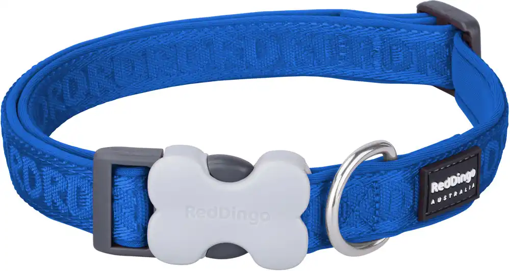 Rychlé Dodání Red Dingo obojek polstrovaný S – Electric Blue – 15 mm x 24-37 cm