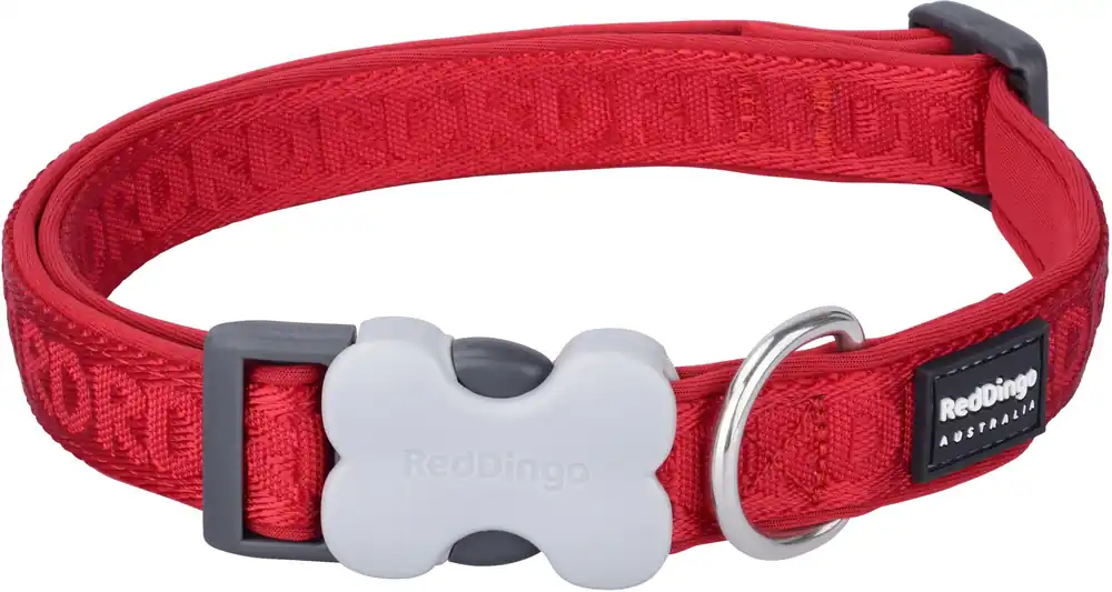 Přímo Od Výrobce Red Dingo obojek polstrovaný M – Red – 20 mm x 31-48 cm