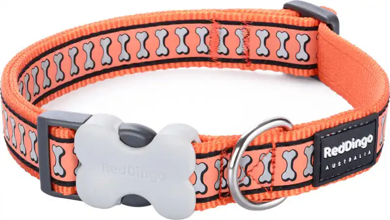Nejlepší Volba Red Dingo obojek reflexní – Bones Orange – 12 mm x 20-32 cm