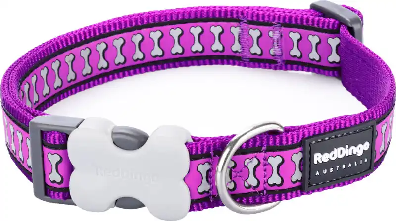 Nejlepší Cena Red Dingo obojek reflexní – Bones Purple – 25 mm x 41-63 cm